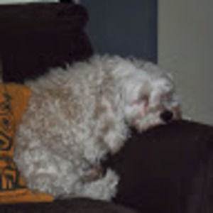 Meet your Posher, Juliana